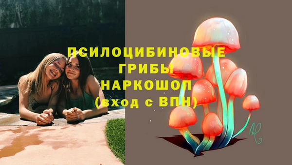 PSILOCYBIN Новозыбков