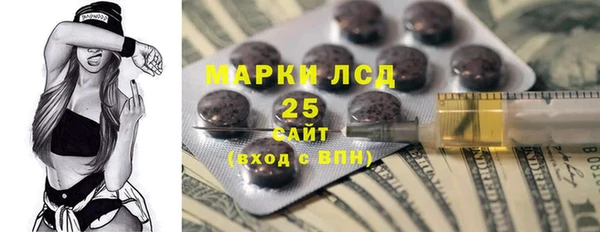 сатива Новокубанск