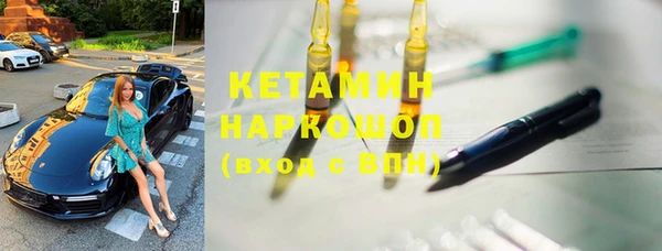 сатива Новокубанск