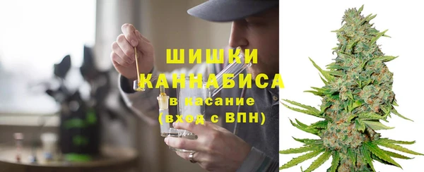 PSILOCYBIN Новозыбков