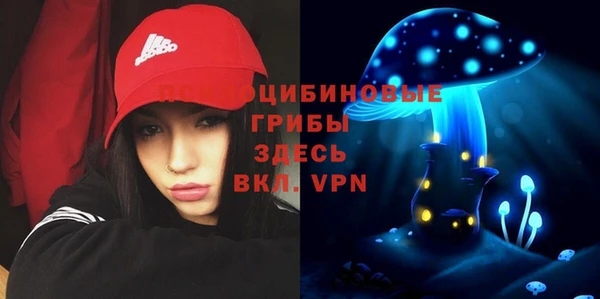 PSILOCYBIN Новозыбков