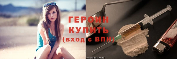 сатива Новокубанск