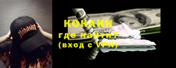сатива Новокубанск