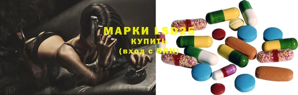 сатива Новокубанск