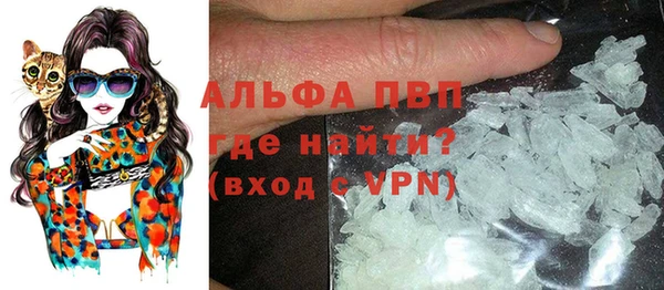 сатива Новокубанск