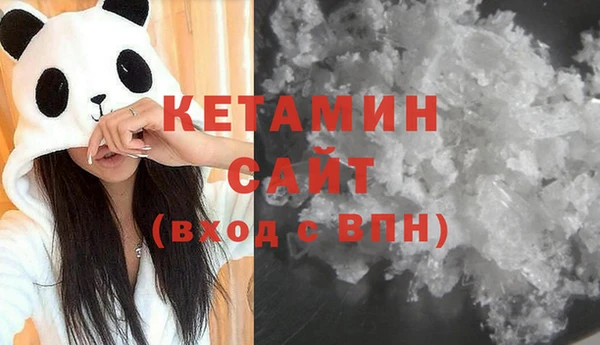 сатива Новокубанск