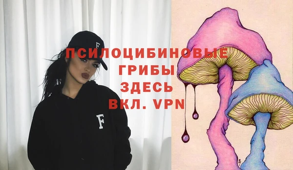героин Новодвинск