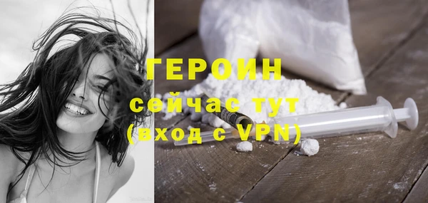 сатива Новокубанск