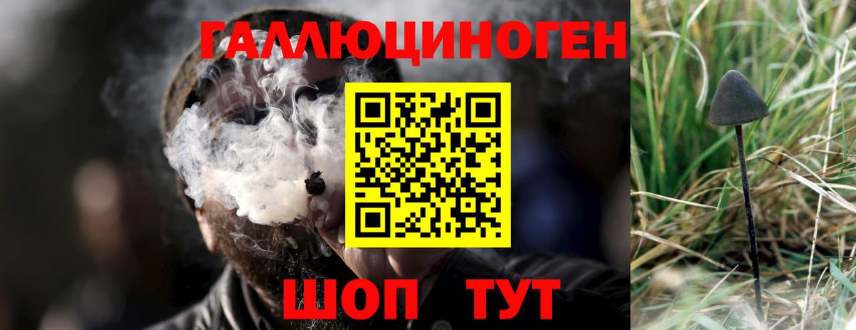 Рыбинск  Галлюциногенные грибы MAGIC MUSHROOMS  Вход с VPN  Галлюциногенные грибы ЛСД 